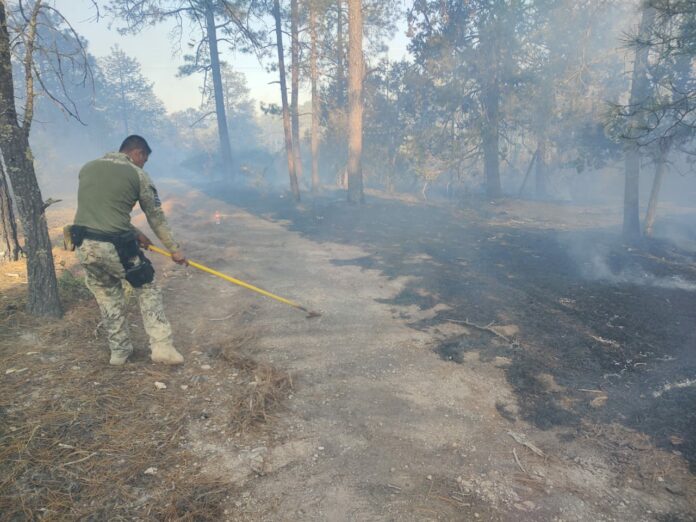 cbcdd9df-c9f4-413d-b850-7fb691ca537b